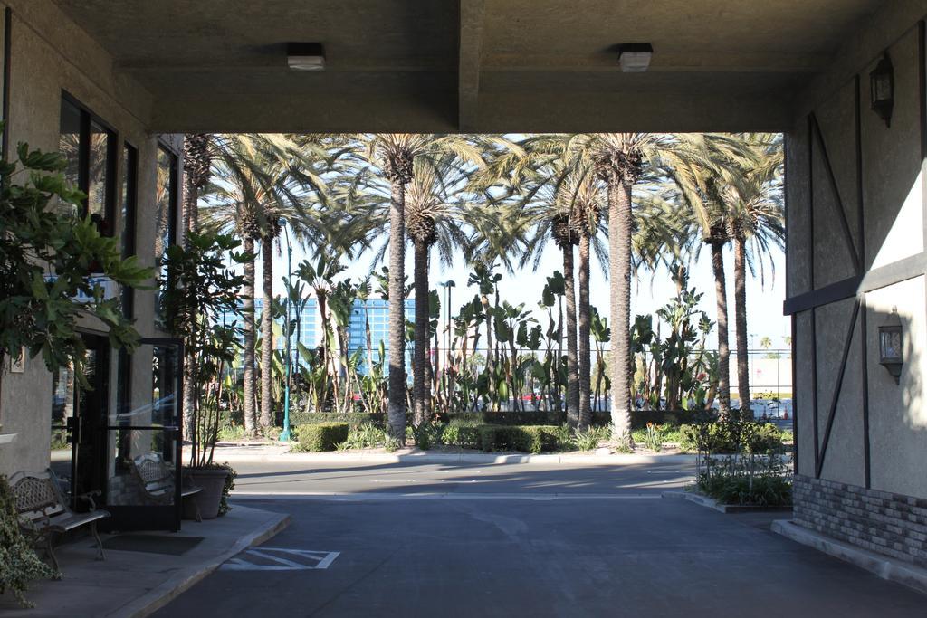 Alamo Inn&Suites - Convention Center Anaheim Exterior foto